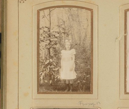 Portrait of a girl in a white dress with a bow