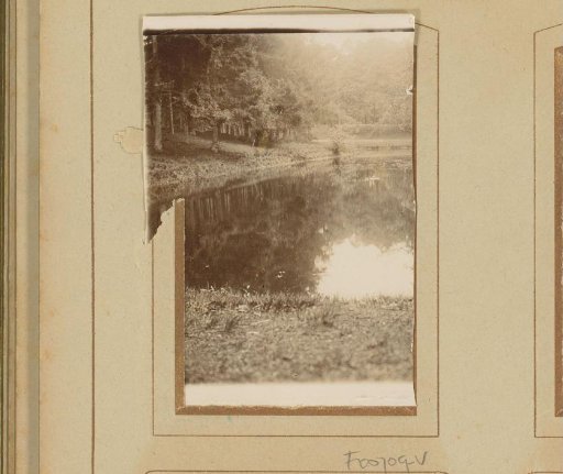 View of a pond in the woods