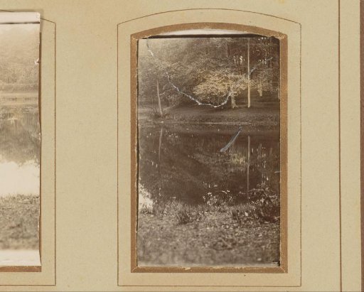 View of a pond in the woods