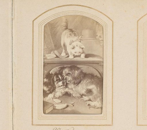 Photographic reproduction of Misstrauen