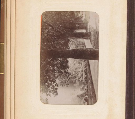 Avenue with trees