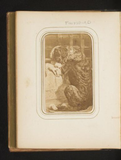 Photographic reproduction of a painting of a dog being petted