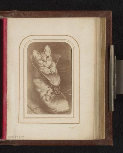 Photographic reproduction of a painting depicting a kitten, sitting in a boot
