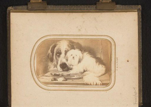 Photographic reproduction of a painted portrait of two dogs