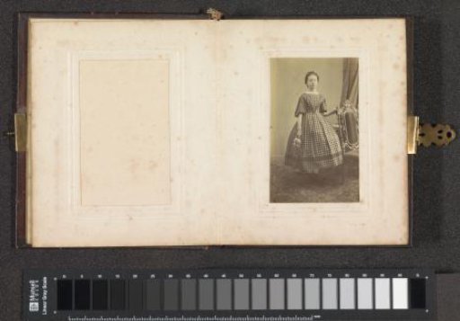Portrait of a girl in a checkered dress, standing