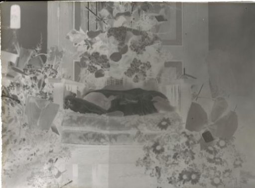 Child on a bed amidst flowers
