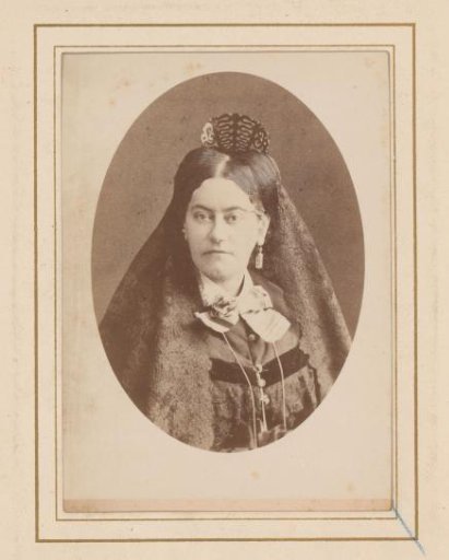 Portrait of a Woman with a Veil in Her Hair