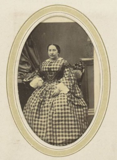 Portrait of a Woman in a Plaid Dress