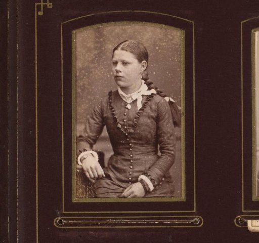 Portrait of a Girl with a Braid