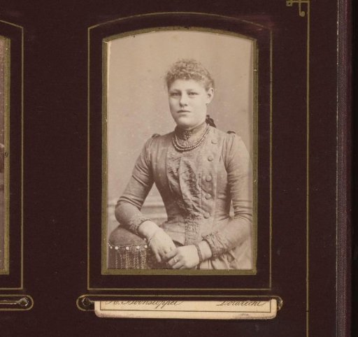 Portrait of a Seated Young Woman