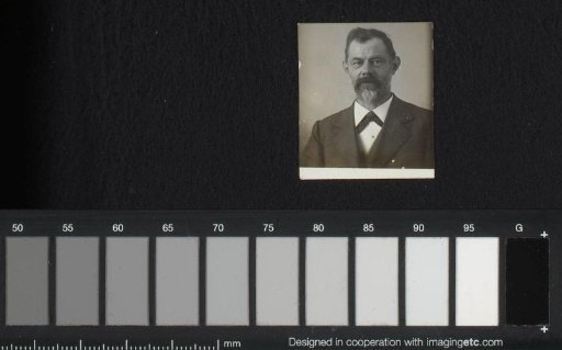 Portrait of a Man with a Mustache and Beard