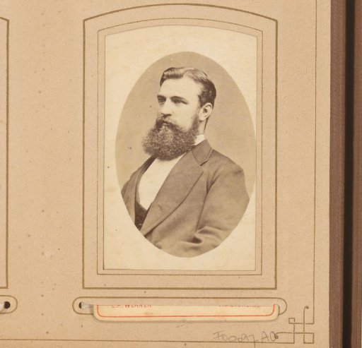 Portrait of a Man with a Beard