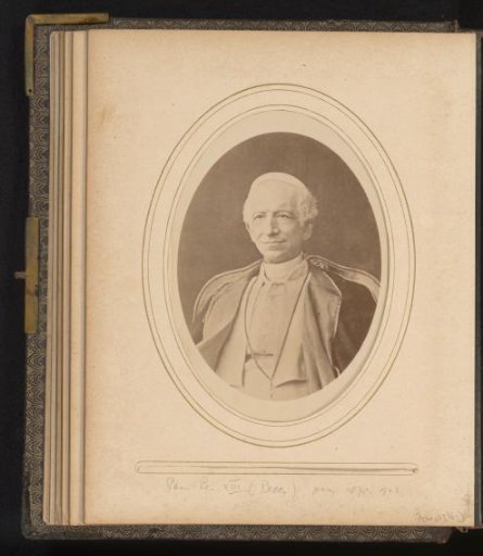 Portrait of Pope Leo XIII