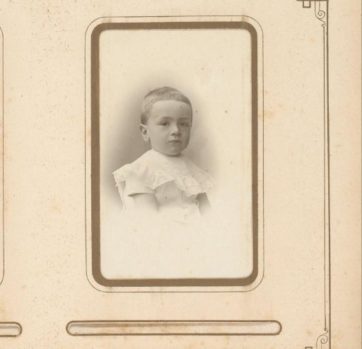 Portrait of a Toddler