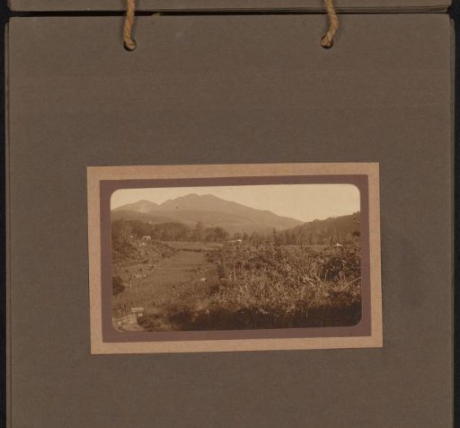 Landscape with rice fields