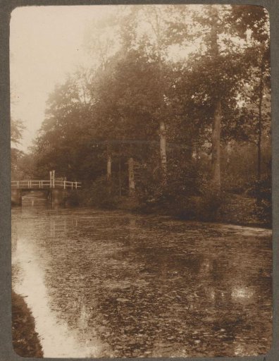 Landscape with trees, a body of water and a bridge on the Fidelio estate at 's-Graveland