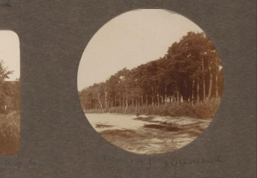 Edge of a forest at 's-Graveland