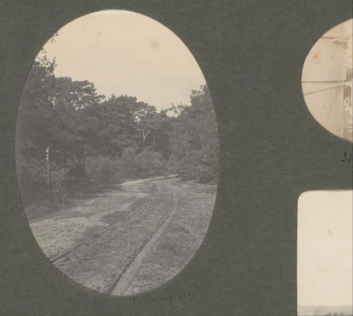 Forest path with cart tracks, probably in the Netherlands