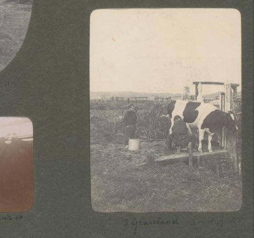 Milking farmer at 's-Graveland, watched by a small boy
