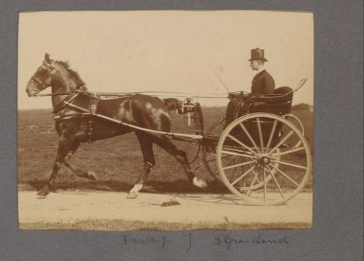 Man in a carriage on a country road in 's-Graveland