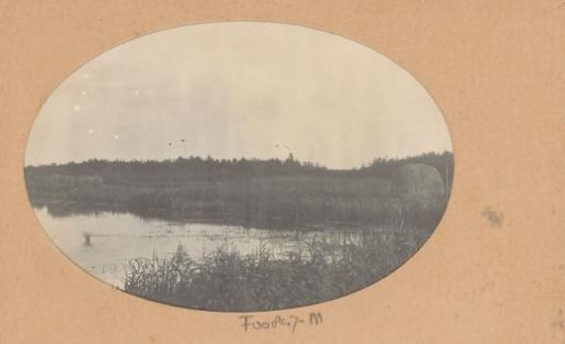 Landscape with a body of water, bank vegetation and a haystack, probably in the Netherlands