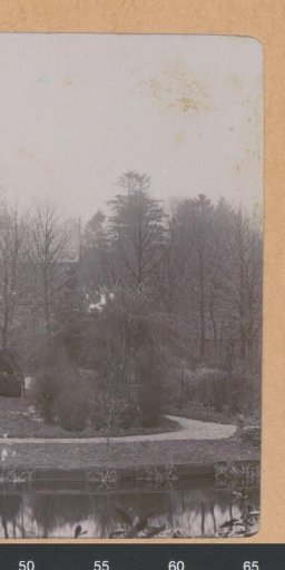 Woman standing by a farm shed, probably in the Netherlands