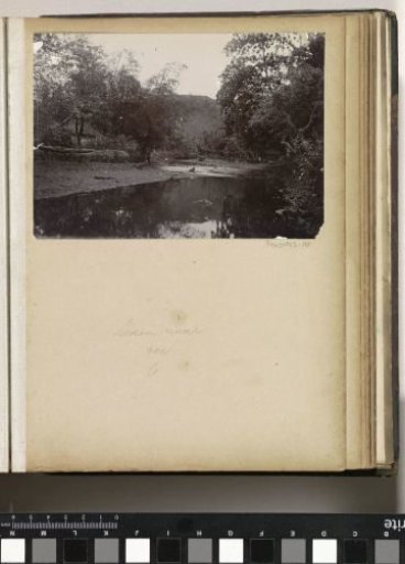 People, cattle and birds by the water on Ambon, possibly the Nymphaeum Ajer Poetrie