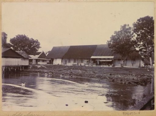 Pond in the Chinese Camp on Ambon