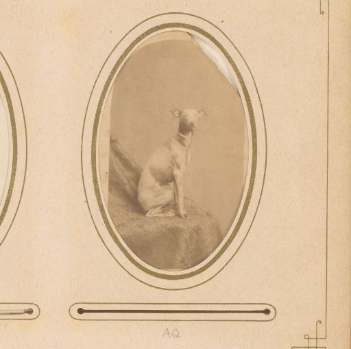 Seated Dog