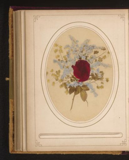 Branch with a rose