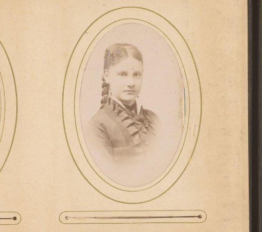 Portrait of a Girl with Braided Hair