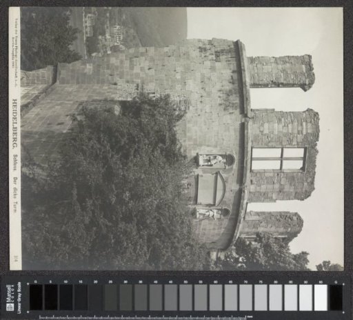Exterior of a tower (Der Dicke Turm) of Heidelberg Castle