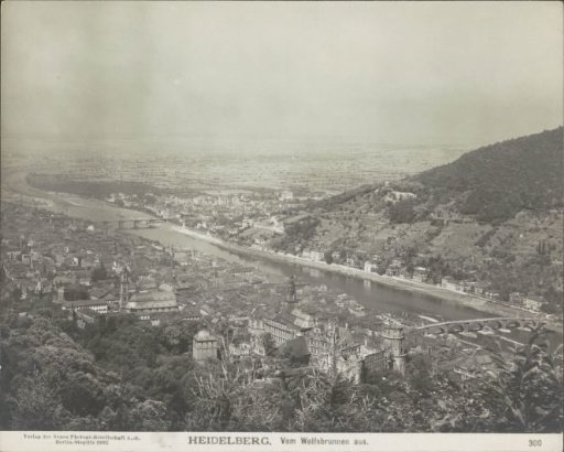 Heidelberg seen from the Wolfbrunnen