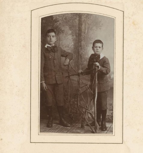 Portrait of two boys by a fence of twigs