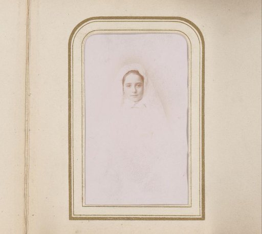 Portrait of a girl with a veil
