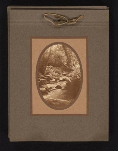 View of a stream in a forest