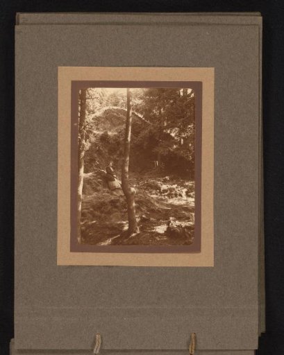 Woman in a forest