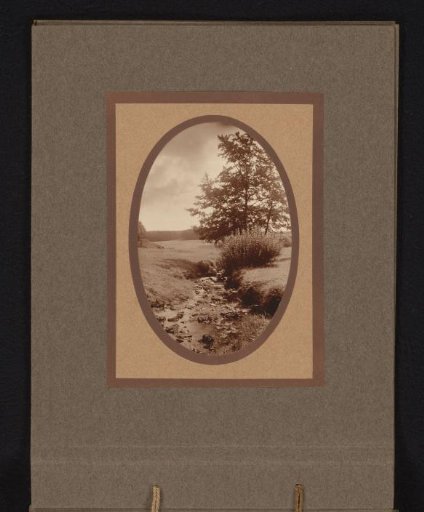 Brook in a landscape with trees