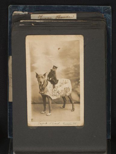 Dog with advertising sign for the Puppet Doctor with a police puppet on its back