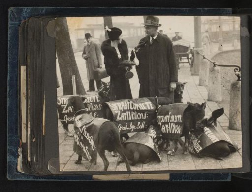 The Puppet Doctor with dogs with advertising signs for the street collection of 11 November on their backs