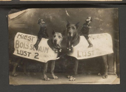 Two dogs of the Puppet Doctor with advertising for the election of Boissevain of list 2, and police puppets on their backs