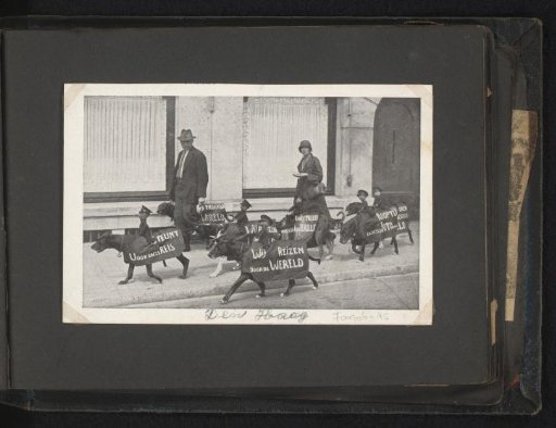 Advertising dogs with the Poppendokter on the street