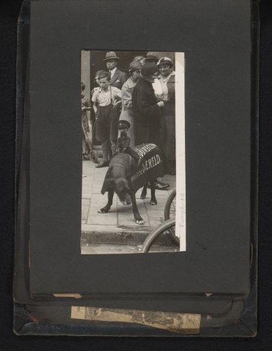 Advertising dog with agent doll and advertising text 'We travel for the world' p on the back