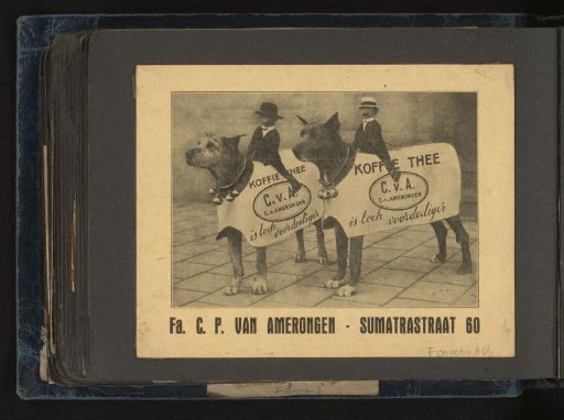 Advertising dog with dolls on its back