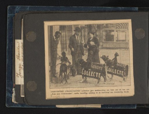 Dogs with Advertising Texts at a Collection
