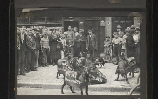 Dogs with Advertising Texts and a Crowd Around Them