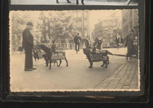 Advertising dogs of the Puppet Doctor on the Singel in Amsterdam