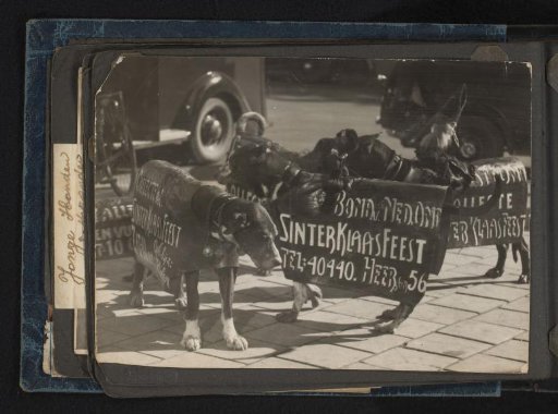 Dogs with advertising signs for the Sinterklaas campaign of the Union of Dutch Teachers in Amsterdam