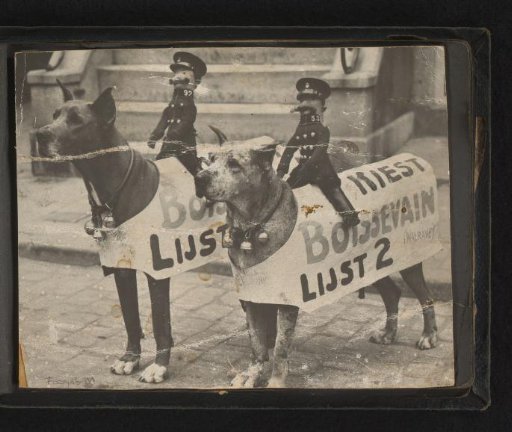 Dogs with advertising signs for elections, list 2 Boissevain and police puppets on their backs