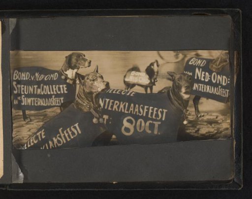 Dogs with advertising signs for the Sinterklaas celebration of the Union of Dutch Teachers